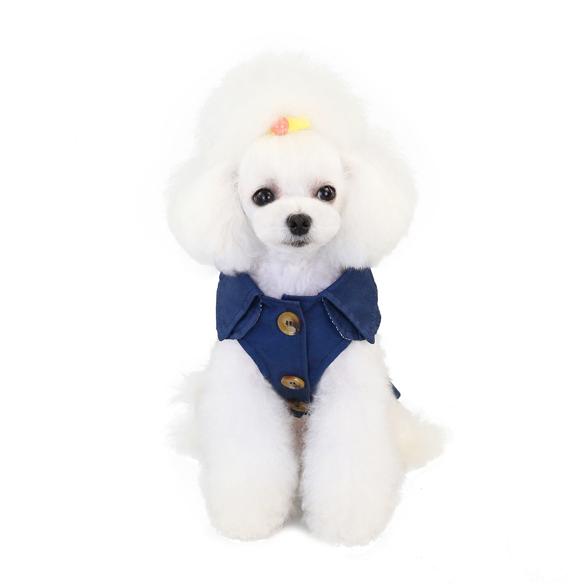 Three-color Windbreaker, Fashionable And Trendy Dog Clothes, Suitable For Autumn And Winter, For Small Dogs Such As Teddy And Bear Dropshipman